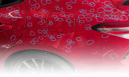 Hail Damage Autho Repair